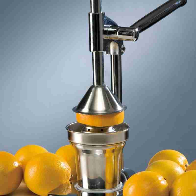steel citrus press with fresh oranges