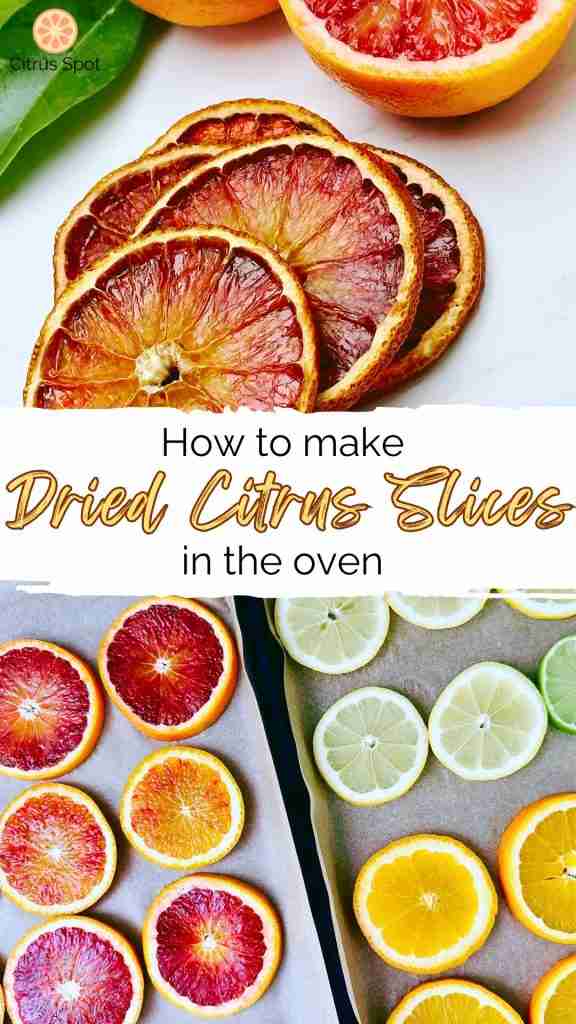 dried orange slices and slices of lemon, lime and orange ready to dehydrate in the oven