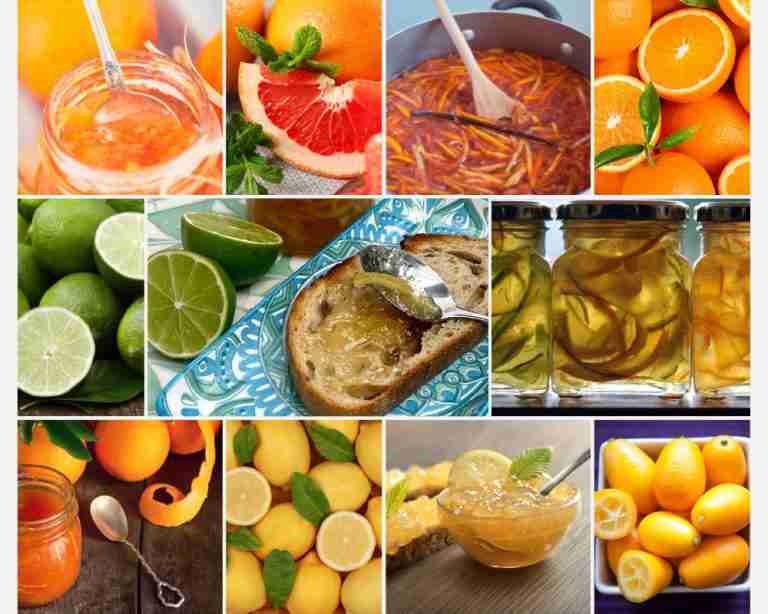 collage of citrus fruits and marmalades