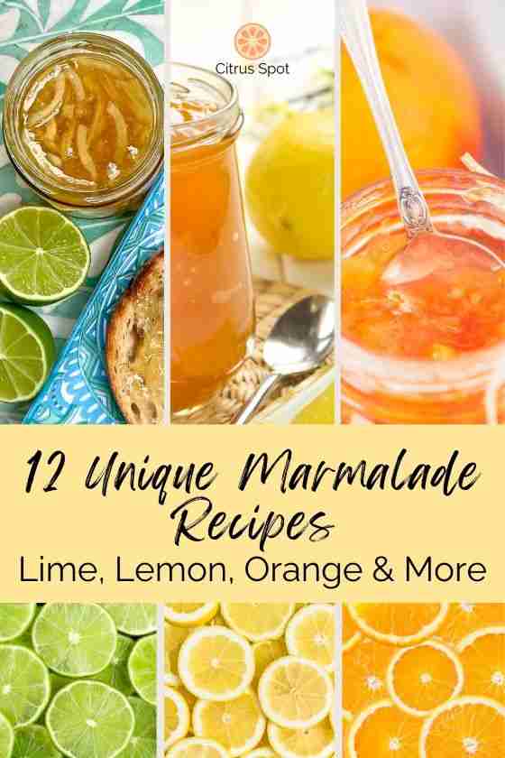 lime, lemon and orange slices with lime, lemon and orange marmalades and text "12 unique marmalade recipes"