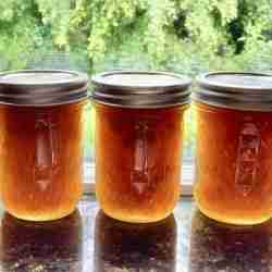 Rhubarb and orange jam in jars in front of window