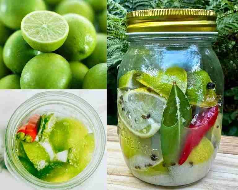 fresh limes ad small batch preserved limes in glass mason jar with salt and spices