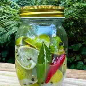 Preserved limes in glass jar with chili and spices