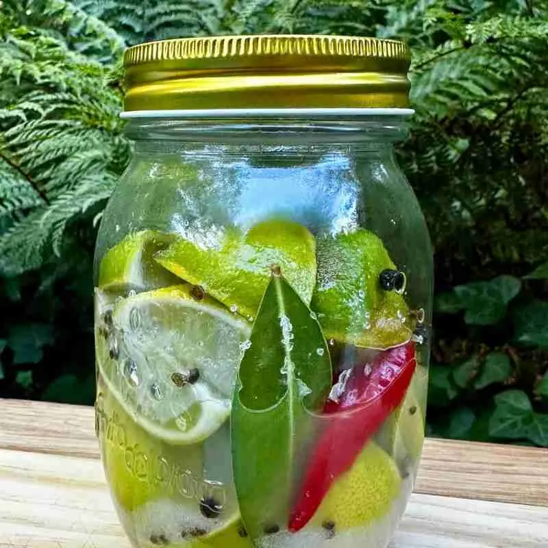 preserved limes in a glass jar with chilli and bay leaves in front of greenery