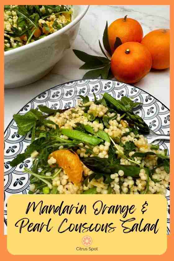 mandarin orange and pearl couscous salad on blue and white plate with fresh mandarins