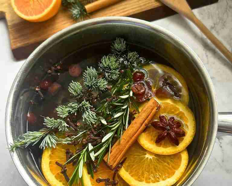 Festive citrus simmer pot for Christmas with orange slices, cranberries, pine and spices