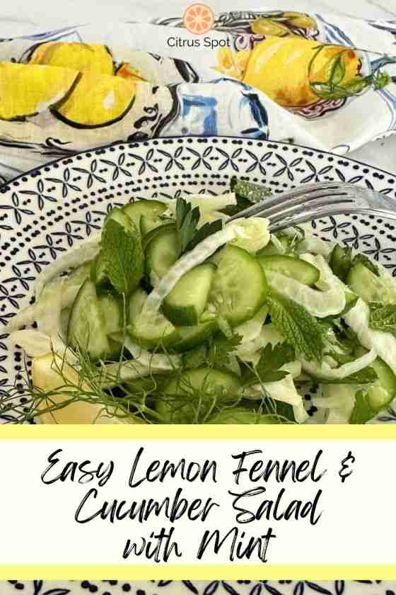 lemon fennel cucumber salad on blue white plate