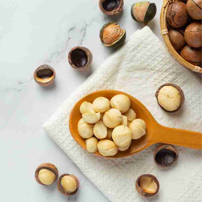 shelled raw macadamia nuts on wooden spoon with whole macadamias in bowl