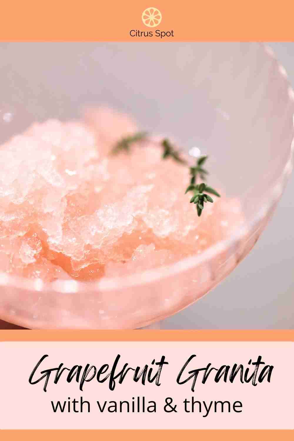grapefruit granita with vanilla and thyme in glass dish with thyme sprig