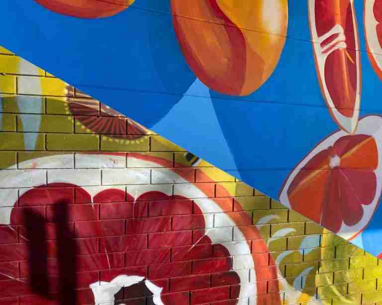 Citrus Street Art Murals Hutt in yellow and pink and blue and orange