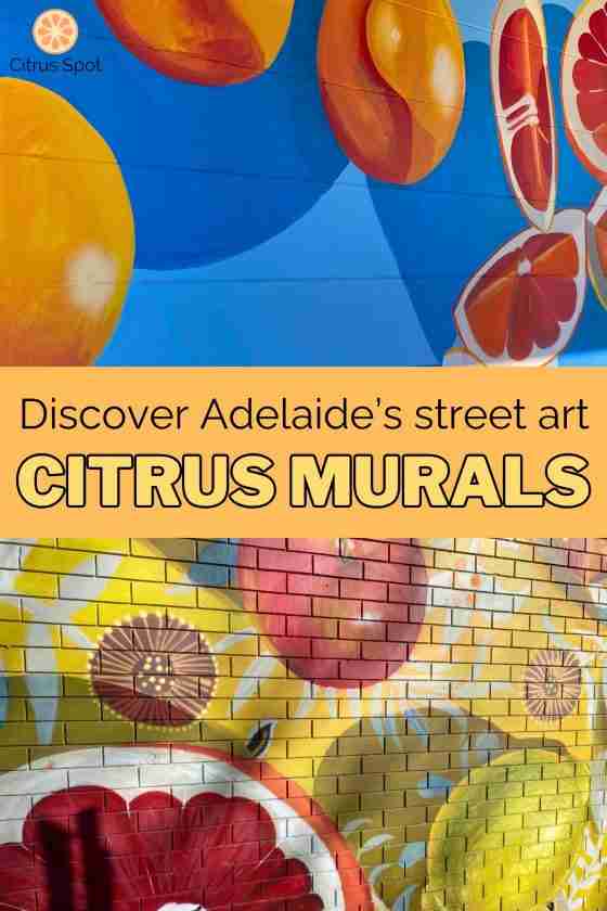 Street art citrus murals with oranges on blue and lemons grapefruit and apples on yellow background