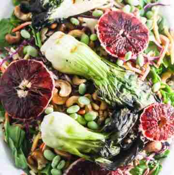 blood orange and baked bok choy salad