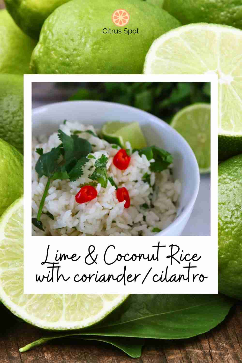 coconut and lime rice with coriander/cilantro in white dish