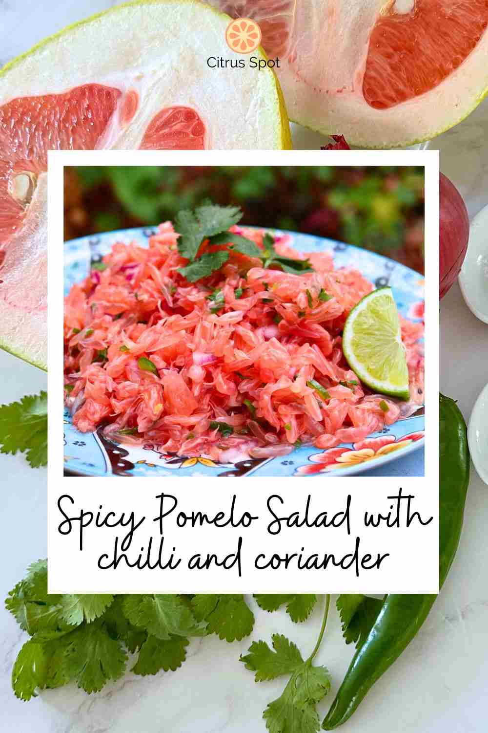 spicy pomelo salad with cilantro / coriander and chili with fresh red pomelo background