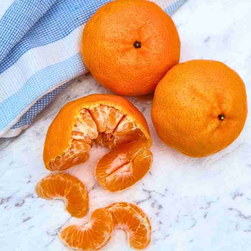 Imperial mandarin variety
