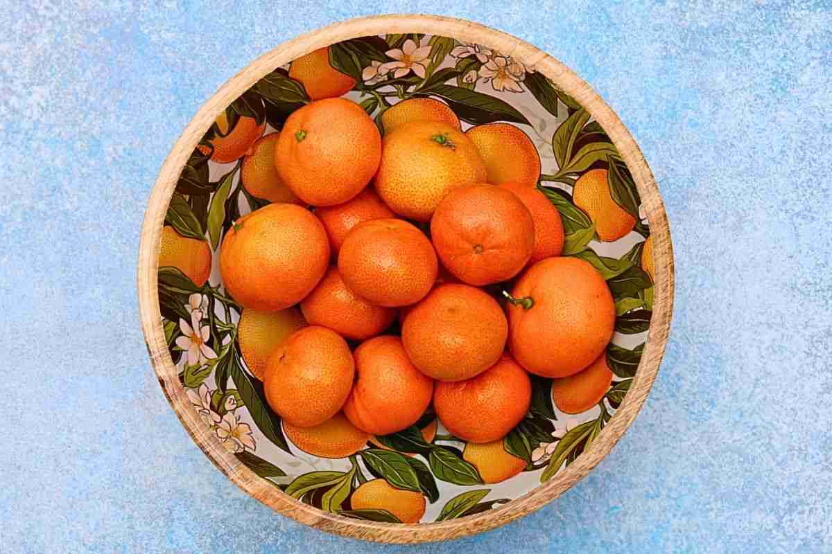 mandarin orange varieties in an orange patterned enameled wooden bowl on blue background
